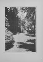 Child thumbnail