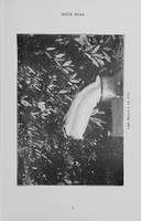 Child thumbnail