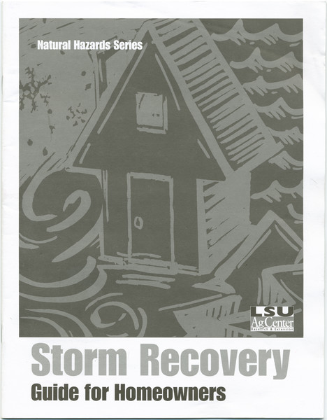 Thumbnail for Storm Recovery Guide …