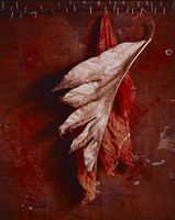 Thumbnail for Untitled [Leaf and …