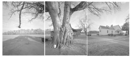 Thumbnail for Sugarberry, South Carolina, …