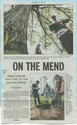 Thumbnail for On the Mend