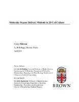 Thumbnail for Molecular beacon delivery …
