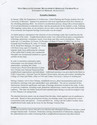 Thumbnail for New Orleans Economic …