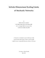 Thumbnail for Infinite-Dimensional Scaling Limits …