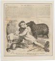 Thumbnail for The pet lamb …