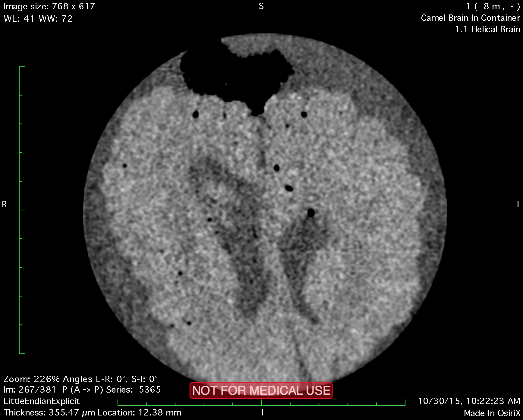 Thumbnail for Bactrian camel neuroimaging: …