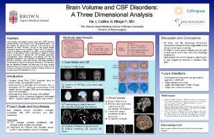 Thumbnail for Brain Volume and …