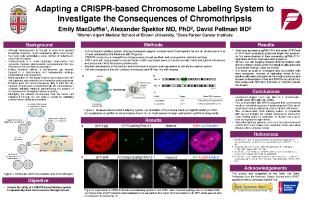 Thumbnail for Adapting a CRISPR-based …
