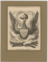 Thumbnail for The federal phoenix