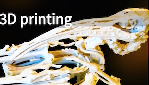 Thumbnail for 3D print of …