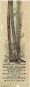 Child thumbnail