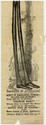 Child thumbnail