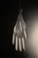Thumbnail for Glove Study #2 …
