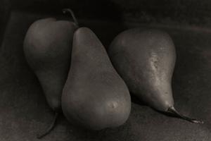 Thumbnail for Pear Study #2 …