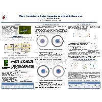 Thumbnail for Phase Transitions in …