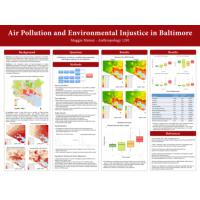 Thumbnail for Air Pollution and …