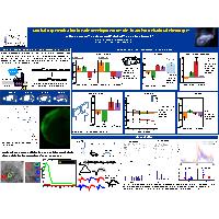 Thumbnail for Cortical hyperexcitation in …