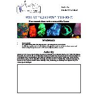 Thumbnail for WHAT “GLOWS” THERE?! …