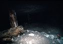 Thumbnail for Delaware Mine