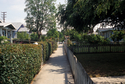 Thumbnail for Walk Street Path