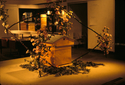 Thumbnail for Bees, lighted. Paris, …