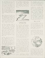 Thumbnail for Abalone Alliance records …