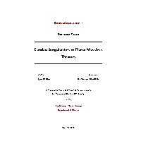 Thumbnail for Landau Singularities in …
