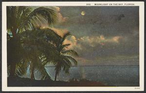 Child thumbnail