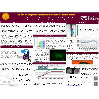 Thumbnail for Non-invasive optogenetic stimulation …