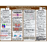 Thumbnail for Engineering Monocytes: Guiding …