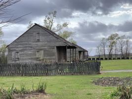 Thumbnail for The Whitney Plantation …