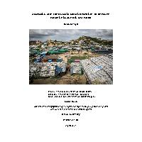 Thumbnail for ASSESSING AID: THE …