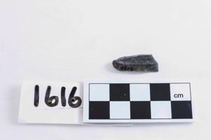 Thumbnail for Obsidian flake <small> …