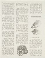 Thumbnail for Abalone Alliance records …