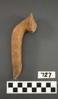 Thumbnail for Amphora handle sherd …