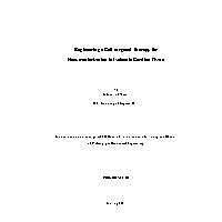 Thumbnail for Engineering a Cell-targeted …