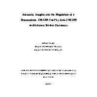 Thumbnail for Atomistic Insights into …