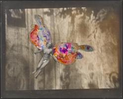 Thumbnail for Fotocollage de la …