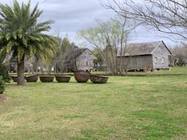 Thumbnail for The Whitney Plantation …