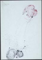 Child thumbnail