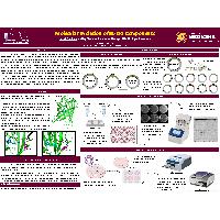 Thumbnail for Molecular Evolution of …