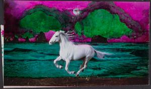Thumbnail for Natura selvaggia [Wild …