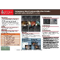 Thumbnail for Case Series: Cholangioscopy-Guided …