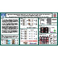 Thumbnail for Application of Autologous …