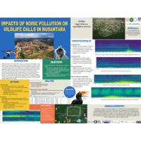 Thumbnail for Impacts of Noise …