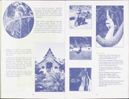 Thumbnail for Alyson Adventures records …