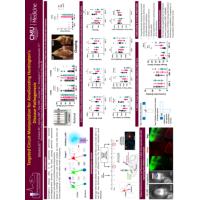 Thumbnail for Targeted Circuit Manipulation …