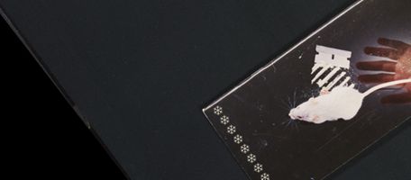 Child thumbnail