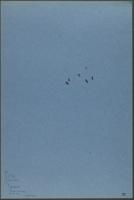 Child thumbnail